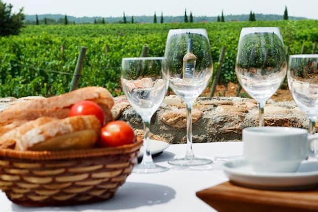 Vinprovning och typisk frukost liten grupptur från Girona