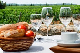 Viinien maistelu ja tyypillinen aamiaisen pieni ryhmäkierros Gironasta