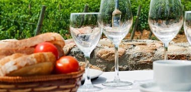 Wines Tasting and Typical Breakfast Small Group Tour from Girona