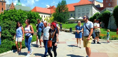 Krakow guidad tur till det ikoniska polska kungliga residenset Wawel-slottet