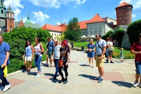 クラクフ、ポーランドの象徴的な王宮ヴァヴェル城へのガイド付きツアー