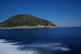 Hurtigbådtur til Sazan Island og Karaburun