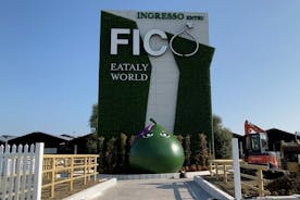 Tour of the Worlds of FICO