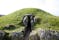 Photo of Bryn Celli Ddu burial chamber overlying a henge monument Isle of Anglesey North Wales.
