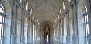 Visita guiada al Palacio Real de Venaria
