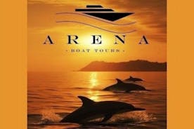 美妙的海豚和日落之旅（Pula - NP BRIJUNI）