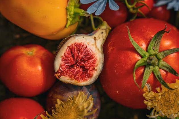 Früchte und Oliven vom Bauernhof Dubrovnik