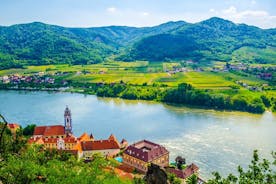 Wien: Melk Abbey, Donau-dalen, Wachau privat biltur