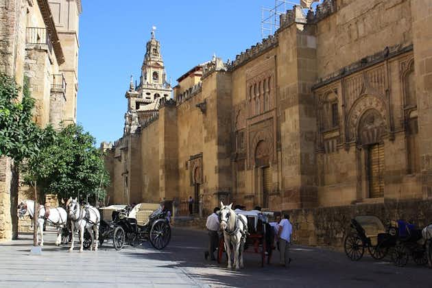 Guidad tur: upptäck de 2 fantastiska monumenten i Córdoba: Mezquita och Alcázar.