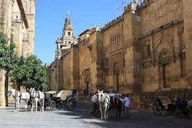 Guided tour: discover the 2 great monuments in Córdoba: Mezquita and Alcázar.