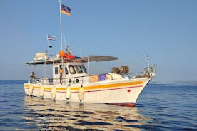 Experiencia de día completo de pesca y navegación en Hydra