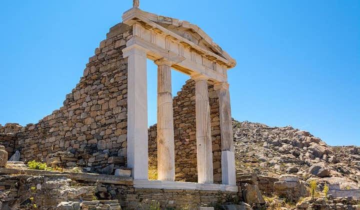 来自Naxos的Delos和Mykonos一日游