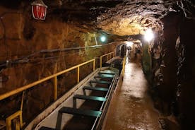 Excursion to the Historic Silver Mine and Adito de la Trout Negra