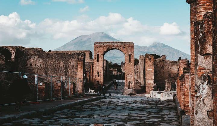 Transfer Naples to Sorrento, stop Pompei 