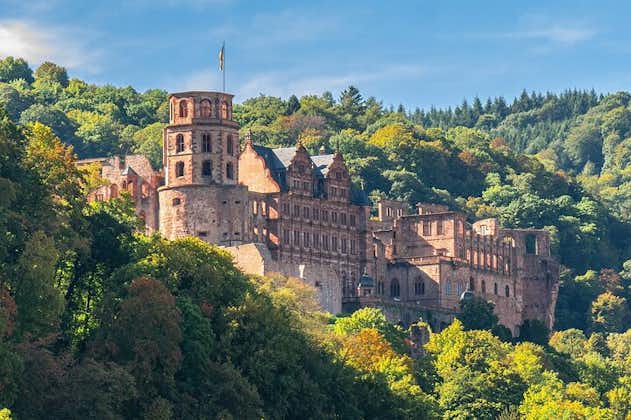 Privat rundtur till Heidelberg och Rothenburg från Frankfurt