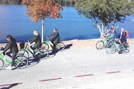 Bike tour through the parks of Seville