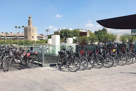 Geführte Tour mit dem Elektrofahrrad durch Sevilla