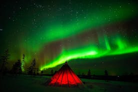 Northern Lights Wilderness Small-Group Tour fra Rovaniemi