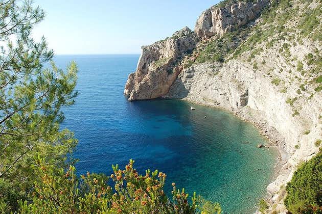 Privater Bootsverleih für 5 Personen 8 Stunden auf Ibiza