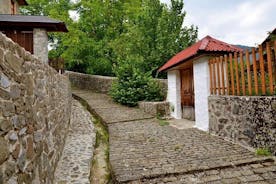 Tour dei villaggi Zagori (3 giorni)