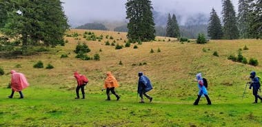 Pestera and Magura Full-Day Private Walking Tour from Brasov