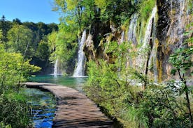 Tour dei laghi di Plitvice da Spalato con biglietto d'ingresso incluso