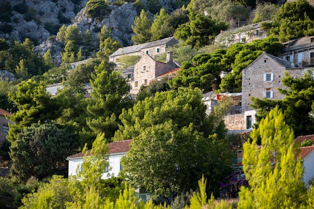 Photo of small houses with vineyards, hidden by green pine trees under steep, sharp rocks of Vidova Gora, the highest mountain on Brac island, Croatia.
