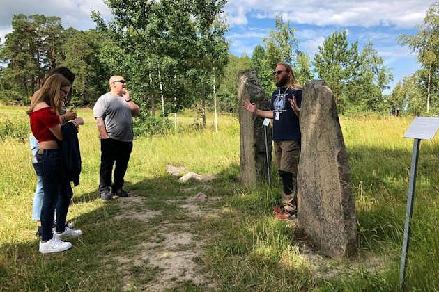 Geschichte der Wikinger: Kurzausflug in kleiner Gruppe ab Stockholm, mit Runenstein-Königreich