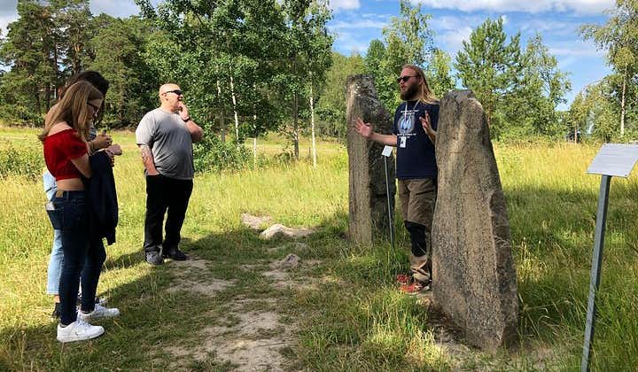 3-4h Viking History Short Day Tour from Stockholm