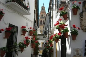 Private Tour: Cordoba Walking Tour with Skip-the-line Tickets