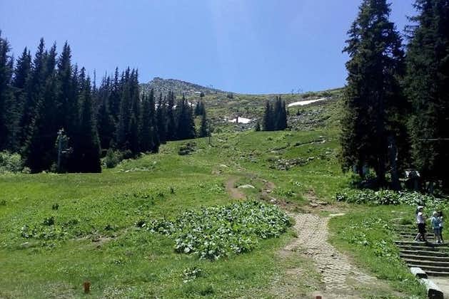 Privat Vandringstur til Black Peak i Vitosha Mountain