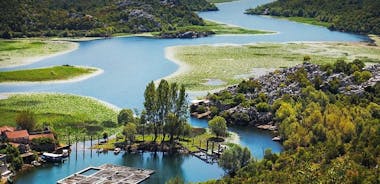 Recorrido histórico, safari y bodega de Podgorica: lago Skadar y río Crnojevica