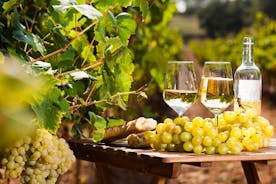 Provencal Market and Wine Tasting Sightseeing Tour