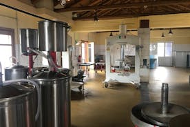 Semi- Private Olive Grove and Oilve Mill with Olive Oil Tastings