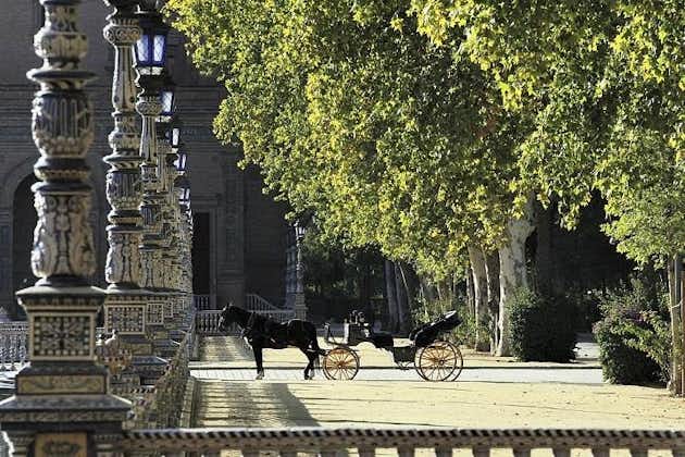 Privat tur med hest og vogn gjennom Sevilla
