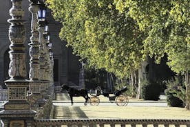 Horse-Drawn Carriage Private Ride through Seville