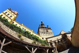 Medieval Sighisoara & Viscri with horse cart & traditional lunch from Brasov