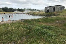 Golden Circle & Secret Lagoon & Friðheimar (lunch included) - PRIVATE TOUR