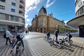 Ljubljana Sightseeing Tour by Electric Bikes