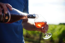 Mattina: tour del vino nella Valle della Loira a Vouvray e Montlouis