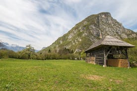 Explore el pasado y el presente de la región de Prekmurje: tour privado desde Liubliana
