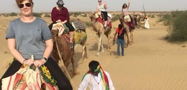  Ikke-turistisk halvdags kamelsafari Thar-ørkenens solnedgang