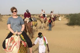  Safari non touristique d'une demi-journée à dos de chameau au coucher du soleil dans le désert du Thar
