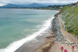 Small-Group Guided Coastal Walking Tour from Killiney to Dun Laoghaire