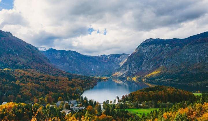Private Bohinj & Vogel Tour from Bled