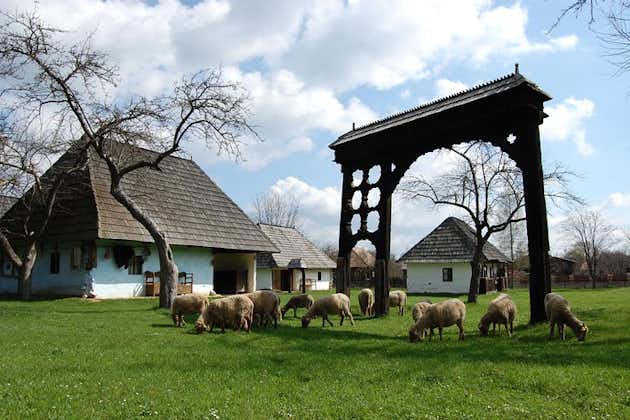 Székely Land의 자연과 문화 최고의 Brasov에서 1 일 여행