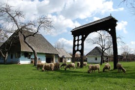 Lo mejor de Székely Land's Nature and Culture Excursión de un día desde Brasov