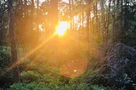 Midnight sun and Campfire - Forest evening hike outside Stockholm