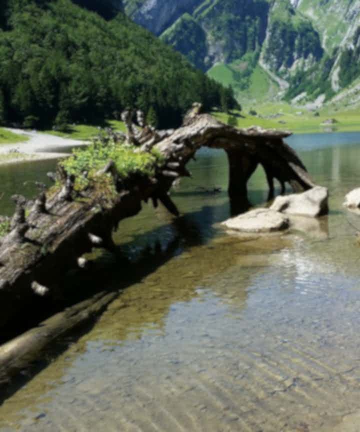 Coches de alquiler en raíz, Suiza