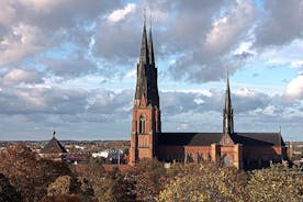 Privat dagstur til Uppsala - Uppsala katedral, Viking grav og landskap
